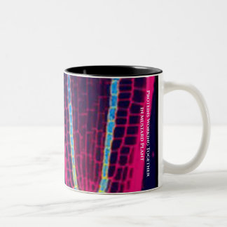 Scientists Say ... Alberts and Protein Image Two-Tone Coffee Mug