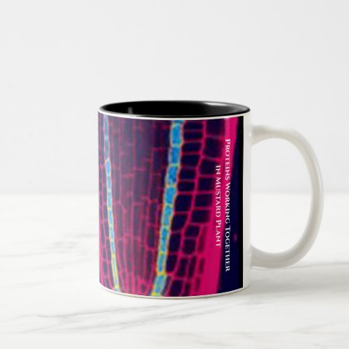Scientists Say  Alberts and Protein Image Two_Tone Coffee Mug