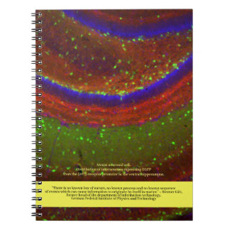 Scientists Say ... Gitt Quote and Neuronal Cell Notebook