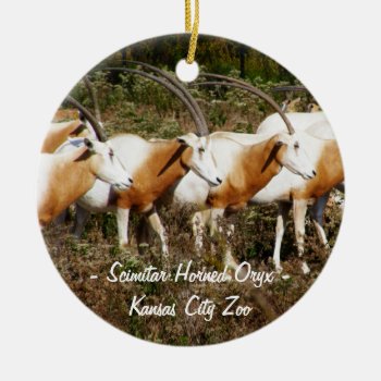 Scimitar Horned Oryx Ornament by Customizables at Zazzle