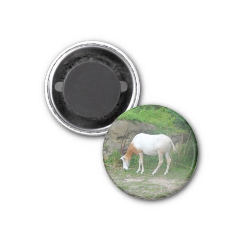 Scimitar Oryx 2 Magnet