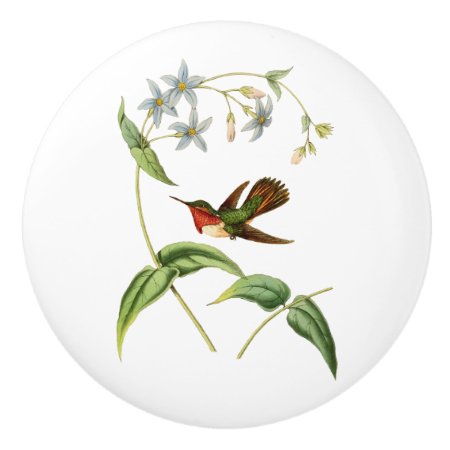 Scintillant Hummingbird Ceramic Knob