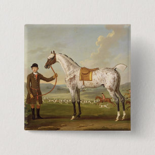 Scipio, Colonel Roche's Spotted Hunter, c.1750 (oi Button