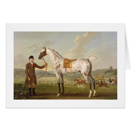Scipio, Colonel Roche's Spotted Hunter, c.1750 (oi Cards (Front Horizontal)