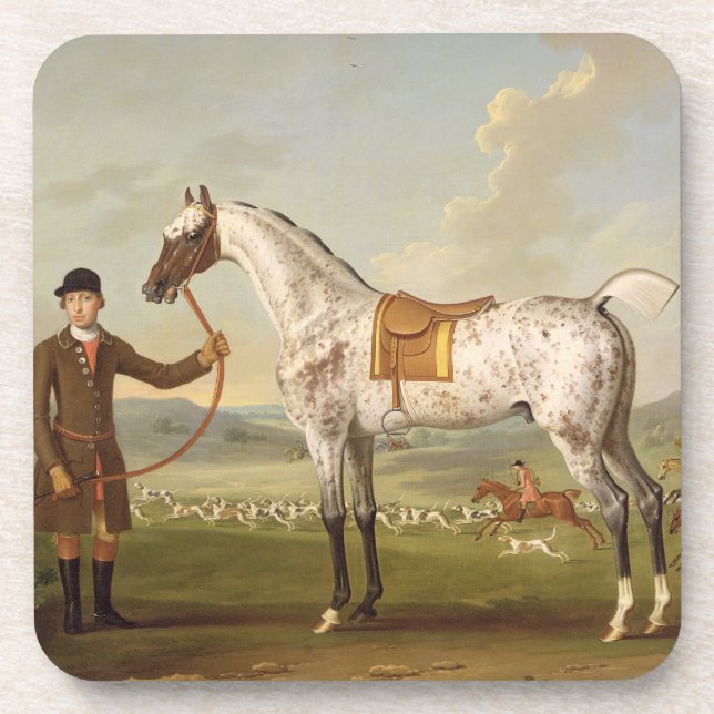 Scipio, Colonel Roche's Spotted Hunter, c.1750 (oi Drink Coaster (Front)