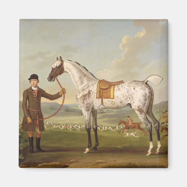 Scipio, Colonel Roche's Spotted Hunter, c.1750 (oi Magnet (Front)