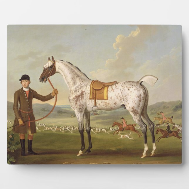 Scipio, Colonel Roche's Spotted Hunter, c.1750 (oi Plaque (Front)