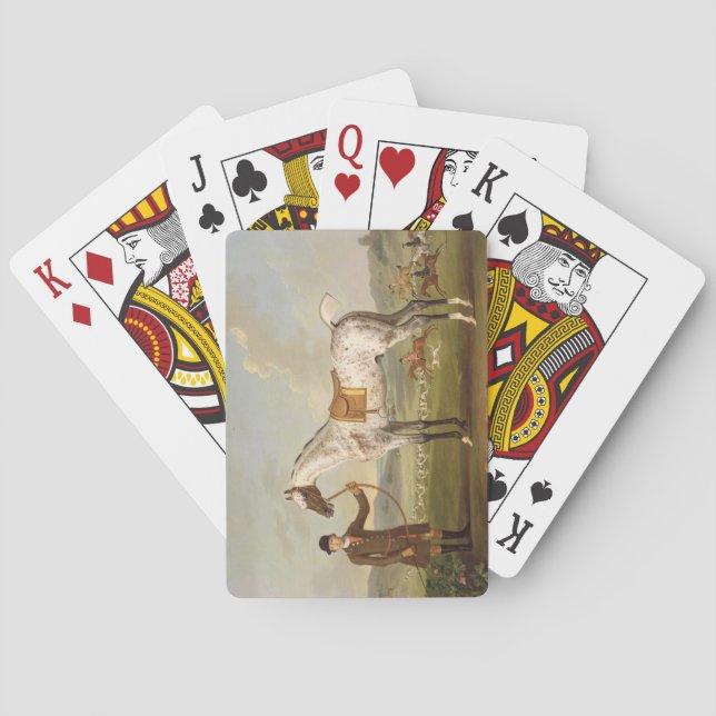 Scipio, Colonel Roche's Spotted Hunter, c.1750 (oi Poker Cards (Back)