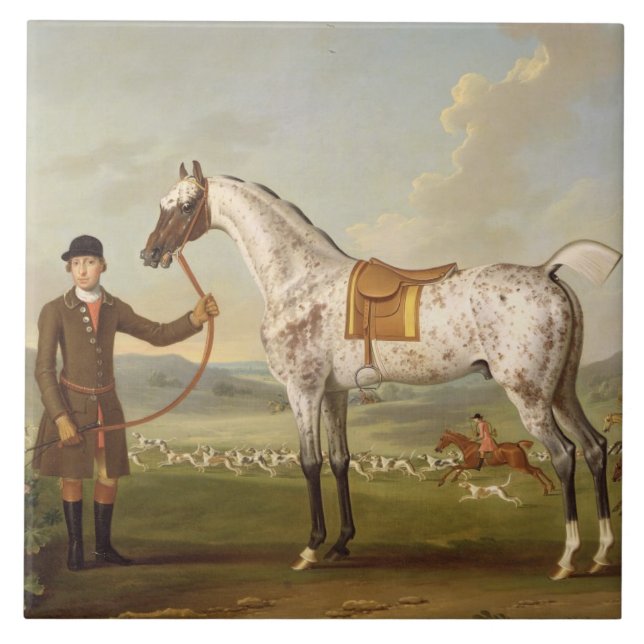 Scipio, Colonel Roche's Spotted Hunter, c.1750 (oi Tile (Front)