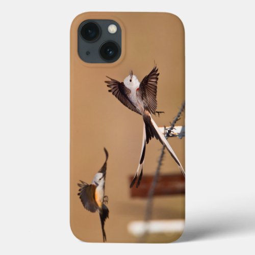 Scissor_Tailed Flycatchers Tyrannus Forficatus iPhone 13 Case