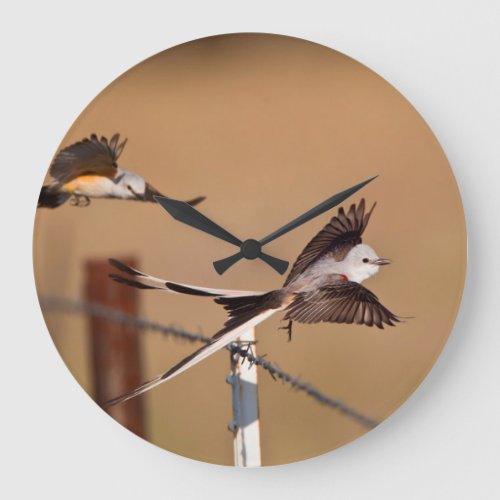 Scissor_Tailed Flycatchers Tyrannus Forficatus Large Clock