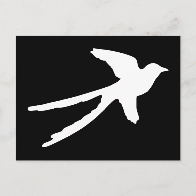 Scissortail Flycatcher Postcard (Front)