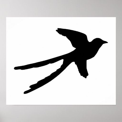 Scissortail Flycatcher Poster | Zazzle