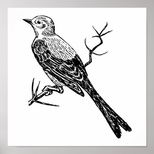 Scissortail Realistic Bird Sketch Poster