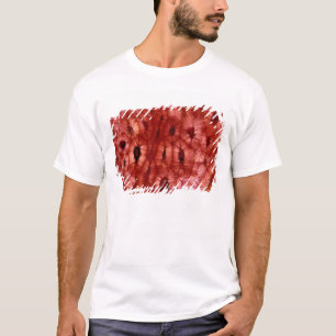 Sclerenchyma Cells from a Cherry Pit T-Shirt