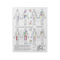 Sclerotome Pain Referral Handouts Notepad