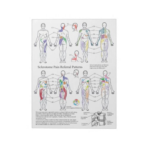 Sclerotome Pain Referral Handouts Notepad