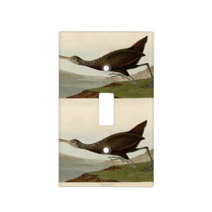 Scolopaceus Courlan - Audubon's Birds of America Light Switch Cover