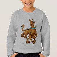 Scooby Doo Airbrush Pose 3 Sweatshirt