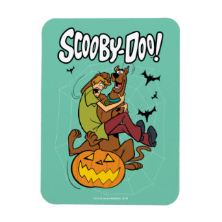 Scooby-Doo and Shaggy Halloween Fright Magnet