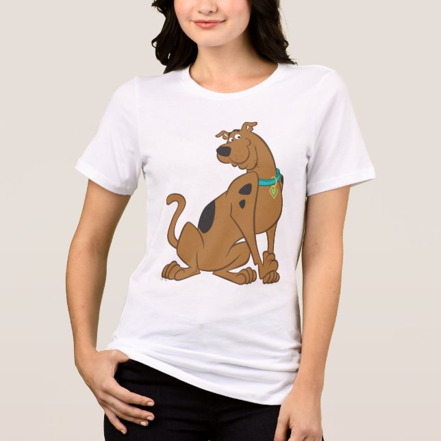 Scooby-Doo Bashful Pose Tri-Blend Shirt (Front)