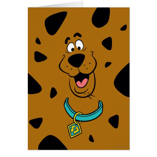 Scooby-Doo Camouflage Cards (Front)