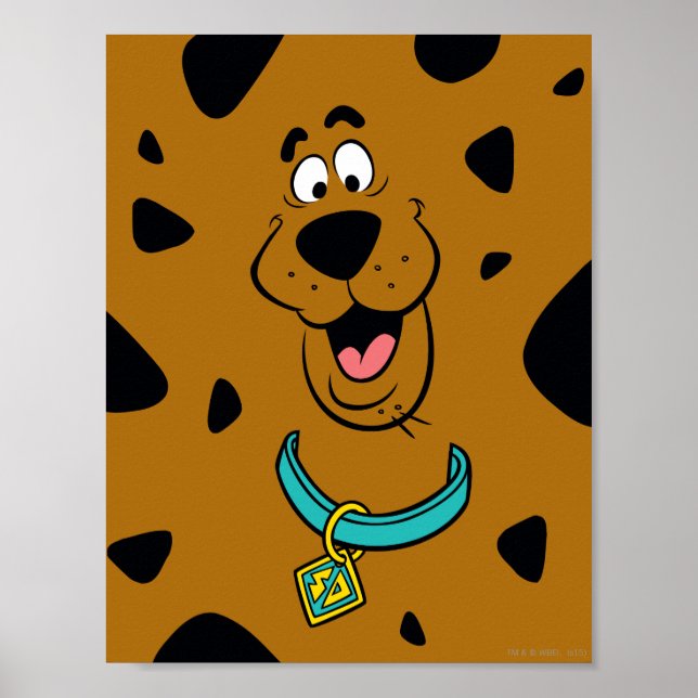 Scooby-Doo Camouflage Poster (Front)