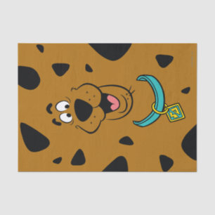 Scooby-Doo Camouflage Tissue Paper