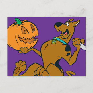 Scooby-Doo Carving Pumpkin Postcard