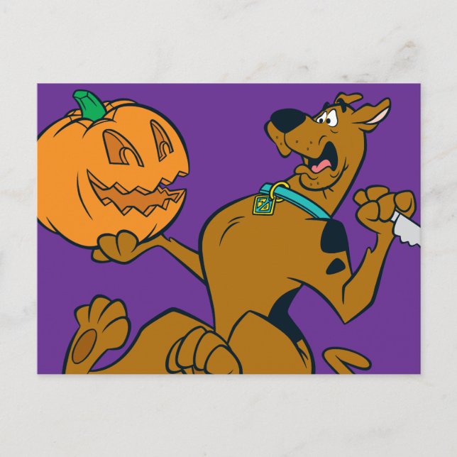Scooby-Doo Carving Pumpkin Postcard (Front)