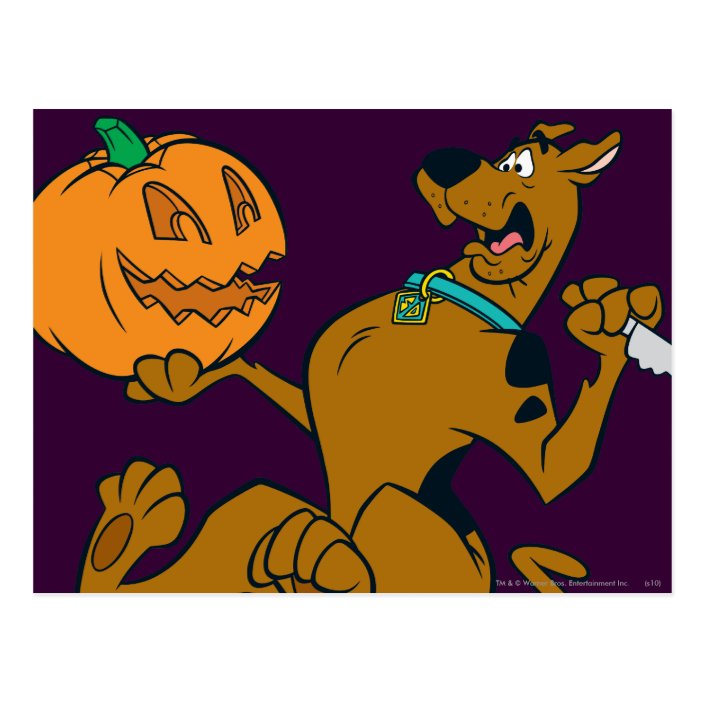 Scooby-Doo Carving Pumpkin Postcard | Zazzle.com