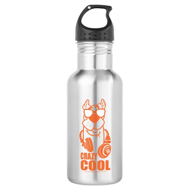 Scooby-Doo "Crazy Cool" Headphone Graphic Stainless Steel Water Bottle (Front)