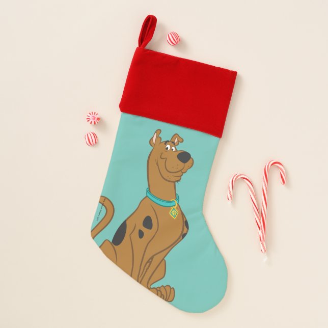 Scooby-Doo Cuter Than Cute Christmas Stocking (Front)