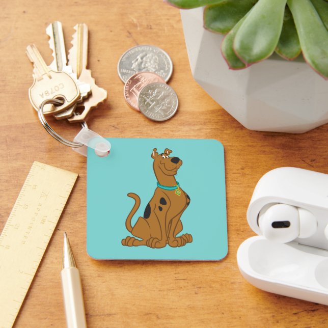 Scooby-Doo Cuter Than Cute Keychain (Desk)