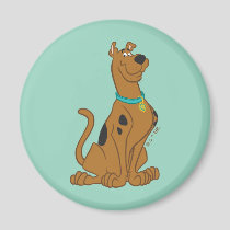 Scooby-Doo Cuter Than Cute Magnet