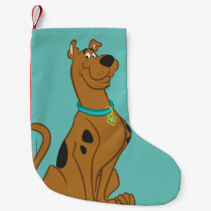 Scooby-Doo Cuter Than Cute Small Christmas Stocking