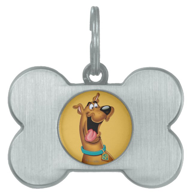 Scooby-Doo Excited Face Pet ID Tag (Front)