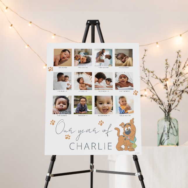 Scooby-Doo First Birthday - 12 Month Photo Collage Foam Board (In Situ (Stand))
