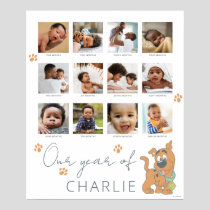 Scooby-Doo First Birthday - 12 Month Photo Collage Poster