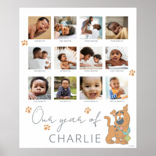 Scooby-Doo First Birthday - 12 Month Photo Collage Poster