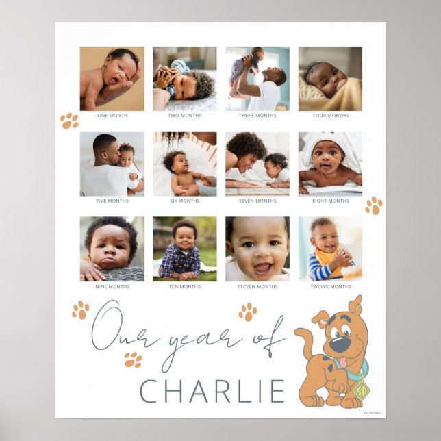 Scooby-Doo First Birthday - 12 Month Photo Collage Poster (Front)