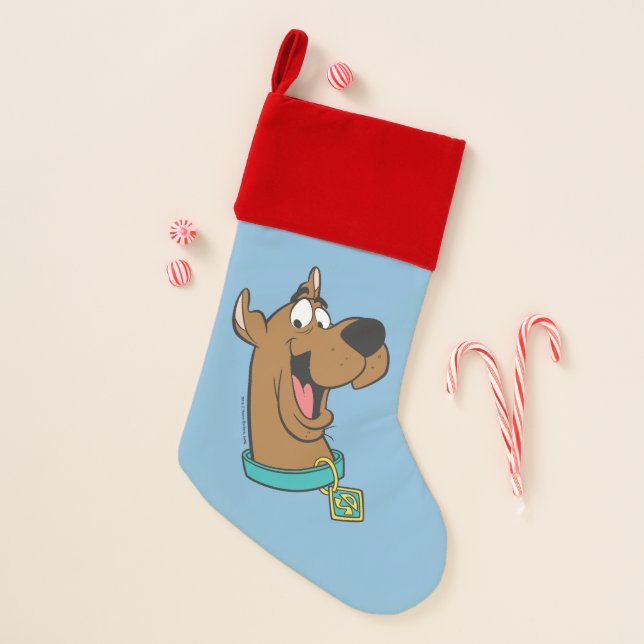 Scooby-Doo Happy Face Christmas Stocking (Front)