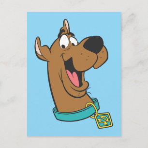 Scooby-Doo Happy Face Postcard