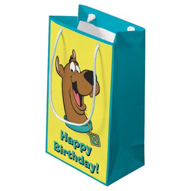 Scooby-Doo Happy Face Small Gift Bag (Back Angled)