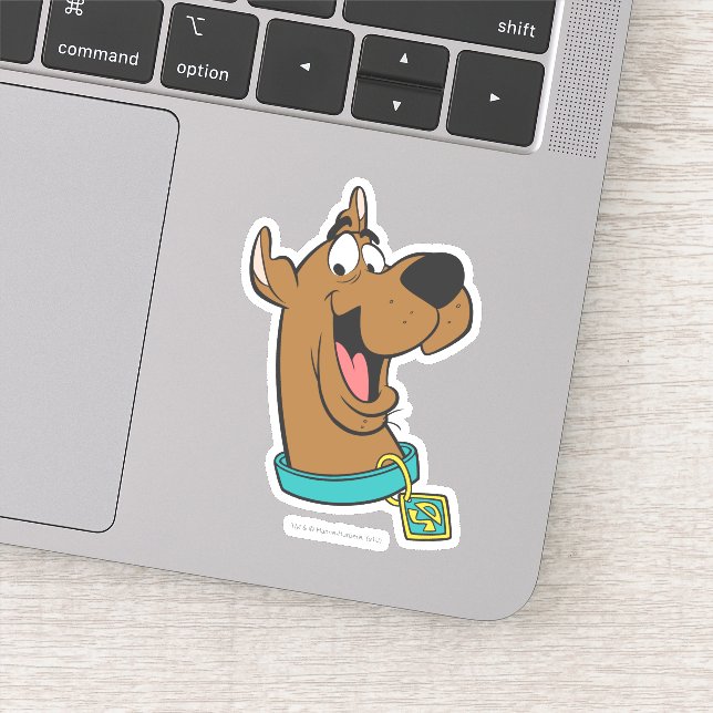Scooby-Doo Happy Face Sticker (Detail)