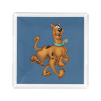 Scooby-Doo Happy Walk