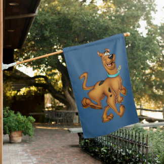 Scooby-Doo Happy Walk House Flag