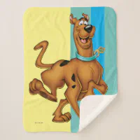 Scoob blanket discount