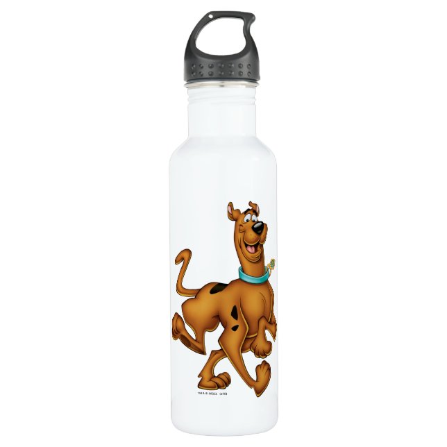 Scooby-Doo Happy Walk Stainless Steel Water Bottle (Front)