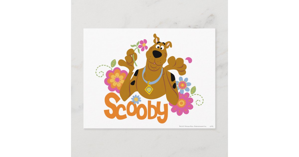 pink scooby doo teddy